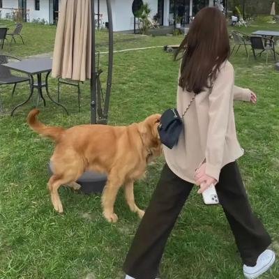 人在驴途