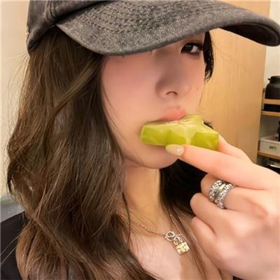 大明星醒目狗
